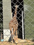 しろとり動物園に投稿された画像（2026/2/3）