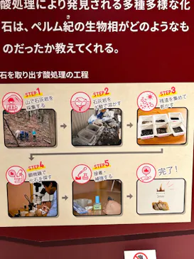 特別展「大絶滅展―生命史のビッグファイブ」に投稿された画像（2026/2/3）