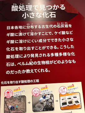 特別展「大絶滅展―生命史のビッグファイブ」に投稿された画像（2026/2/3）