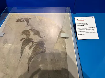 特別展「大絶滅展―生命史のビッグファイブ」に投稿された画像（2026/2/3）
