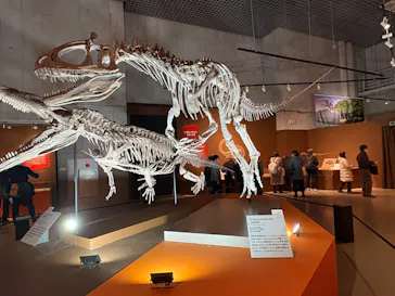 特別展「大絶滅展―生命史のビッグファイブ」に投稿された画像（2026/2/3）