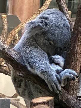 多摩動物公園に投稿された画像（2026/2/3）