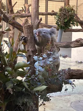 多摩動物公園に投稿された画像（2026/2/3）