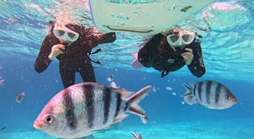 青の洞窟専門店　沖縄ダイビングショップ和に投稿された画像（2026/2/3）