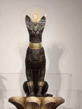 IMMERSIVE JOURNEY 名古屋に投稿された画像（2026/2/3）