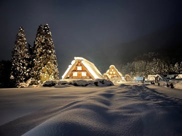 ホワイトリングに投稿された画像（2026/2/3）