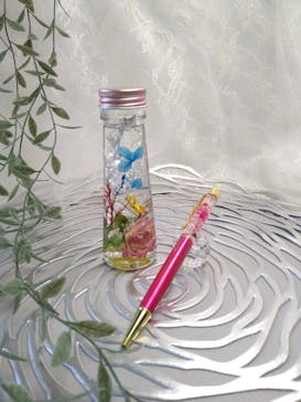 ずこうしつ〜sugamo〜に投稿された画像（2026/2/3）