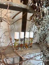 ACAO FORESTに投稿された画像（2026/2/3）