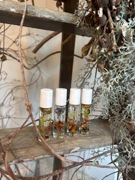 ACAO FORESTに投稿された画像（2026/2/3）