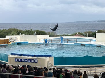 沖縄美ら海水族館に投稿された画像（2026/2/3）