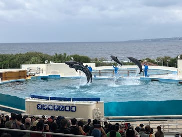 沖縄美ら海水族館に投稿された画像（2026/2/3）