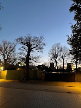 スウェーデン絵画展 北欧の光、日常のかがやき(東京都美術館)に投稿された画像（2026/2/3）