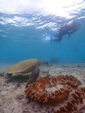 MONKEY NAVYに投稿された画像（2026/2/3）