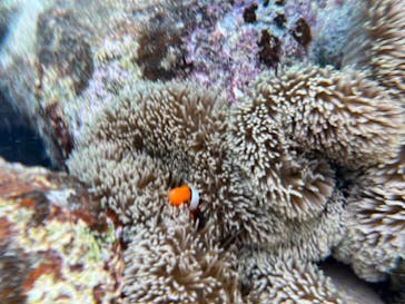 MONKEY NAVYに投稿された画像（2026/2/3）