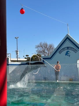 しながわ水族館に投稿された画像（2026/2/3）
