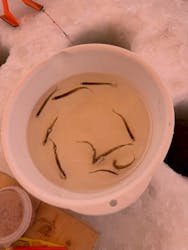 アースアウトドアツアーズに投稿された画像（2026/2/3）