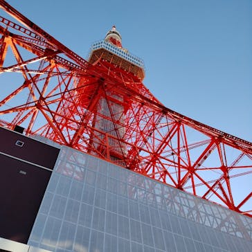 東京タワーに投稿された画像（2026/2/4）