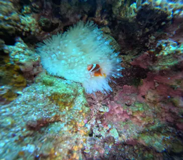 武藤潜水に投稿された画像（2026/2/4）