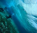 青の洞窟専門店　沖縄ダイビングショップ和に投稿された画像（2026/2/4）