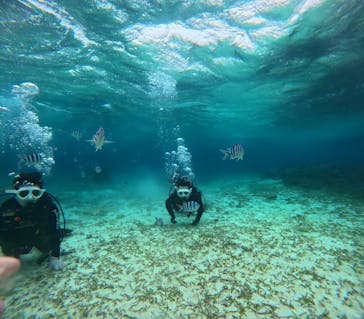 青の洞窟専門店　沖縄ダイビングショップ和に投稿された画像（2026/2/4）