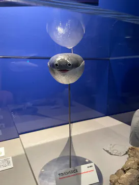 特別展「大絶滅展―生命史のビッグファイブ」に投稿された画像（2026/2/4）