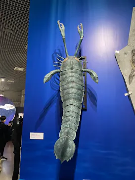 特別展「大絶滅展―生命史のビッグファイブ」に投稿された画像（2026/2/4）