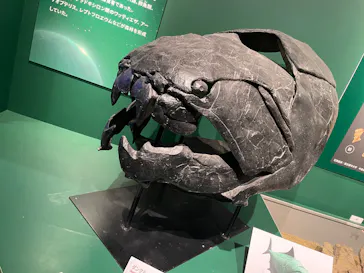 特別展「大絶滅展―生命史のビッグファイブ」に投稿された画像（2026/2/4）