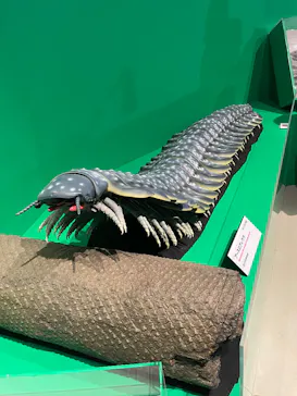 特別展「大絶滅展―生命史のビッグファイブ」に投稿された画像（2026/2/4）