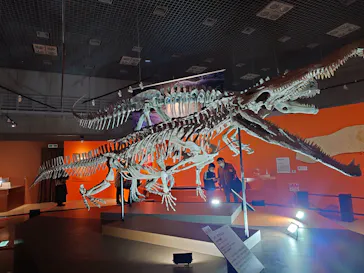 特別展「大絶滅展―生命史のビッグファイブ」に投稿された画像（2026/2/4）