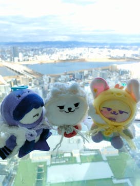 梅田スカイビル・空中庭園展望台に投稿された画像（2026/2/4）