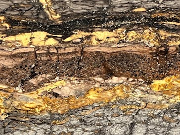 オルセー美術館所蔵 印象派―室内をめぐる物語に投稿された画像（2026/2/4）