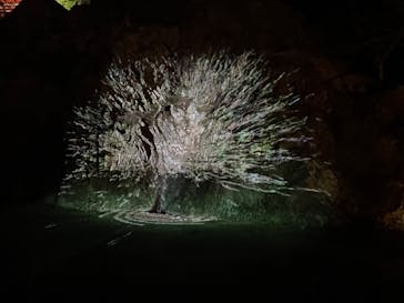 ぎふ灯り物語 ２０２６に投稿された画像（2026/2/4）