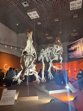 特別展「大絶滅展―生命史のビッグファイブ」に投稿された画像（2026/2/4）