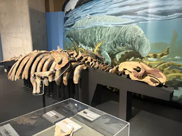 特別展「大絶滅展―生命史のビッグファイブ」に投稿された画像（2026/2/4）