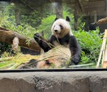 恩賜上野動物園に投稿された画像（2026/2/4）