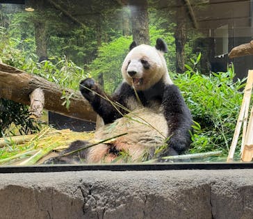 恩賜上野動物園に投稿された画像（2026/2/4）