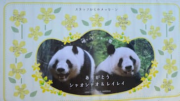 恩賜上野動物園に投稿された画像（2026/2/4）