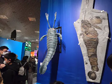 特別展「大絶滅展―生命史のビッグファイブ」に投稿された画像（2026/2/4）