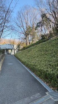 名古屋市東山動植物園に投稿された画像（2026/2/4）