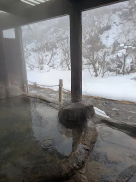 鉛温泉　藤三旅館に投稿された画像（2026/2/4）
