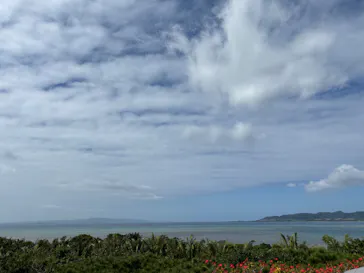 石垣やいま村に投稿された画像（2026/2/4）