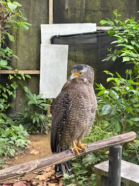 石垣やいま村に投稿された画像（2026/2/4）