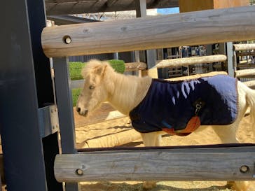 恩賜上野動物園に投稿された画像（2026/2/4）