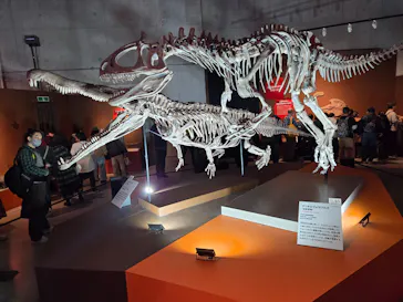 特別展「大絶滅展―生命史のビッグファイブ」に投稿された画像（2026/2/4）