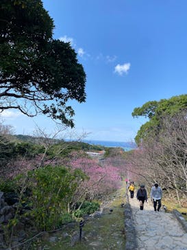 今帰仁城跡に投稿された画像（2026/2/4）