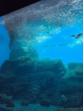 仙台うみの杜水族館に投稿された画像（2026/2/4）