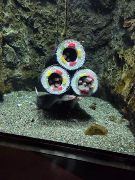 仙台うみの杜水族館に投稿された画像（2026/2/4）