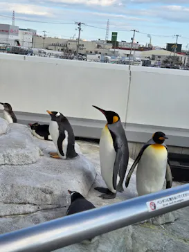 仙台うみの杜水族館に投稿された画像（2026/2/4）