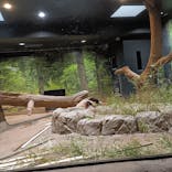 恩賜上野動物園に投稿された画像（2026/2/4）