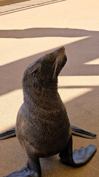 新江ノ島水族館に投稿された画像（2026/2/4）
